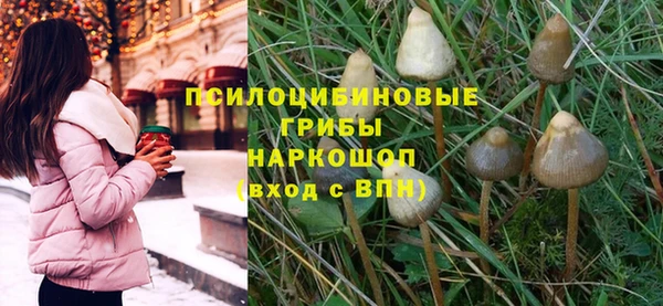 таблы Новодвинск
