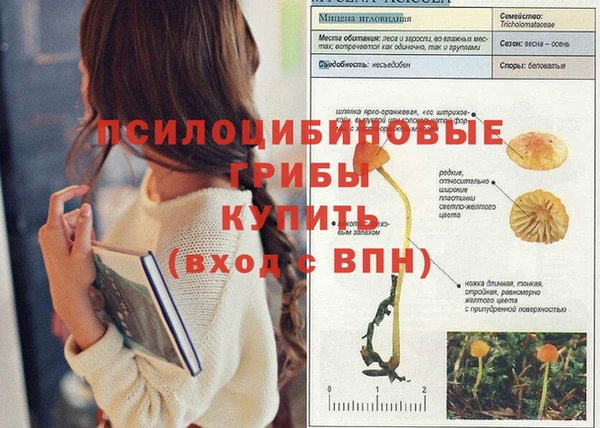 соль курить ск Абинск